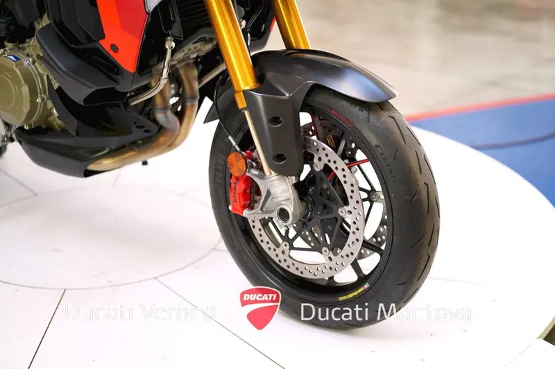 Ducati Multistrada V4 RS (2024 - 25) (9)
