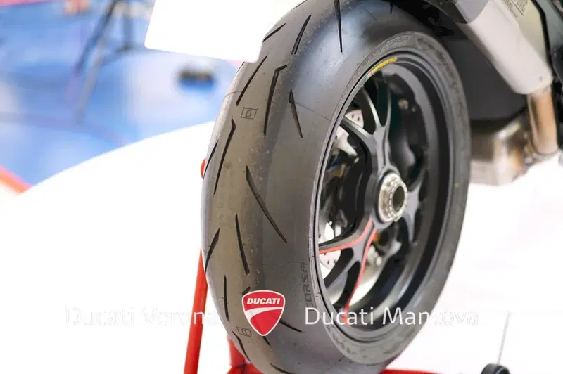 Ducati Multistrada V4 RS (2024 - 25) (13)