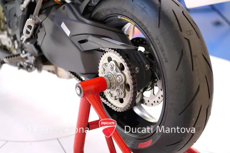 Ducati Multistrada V4 RS (2024 - 25) (14)