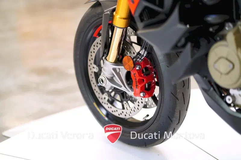 Ducati Multistrada V4 RS (2024 - 25) (17)