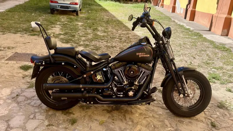 Harley-Davidson 1584 Cross Bones (2008 - 11) - FLSTSB (2)