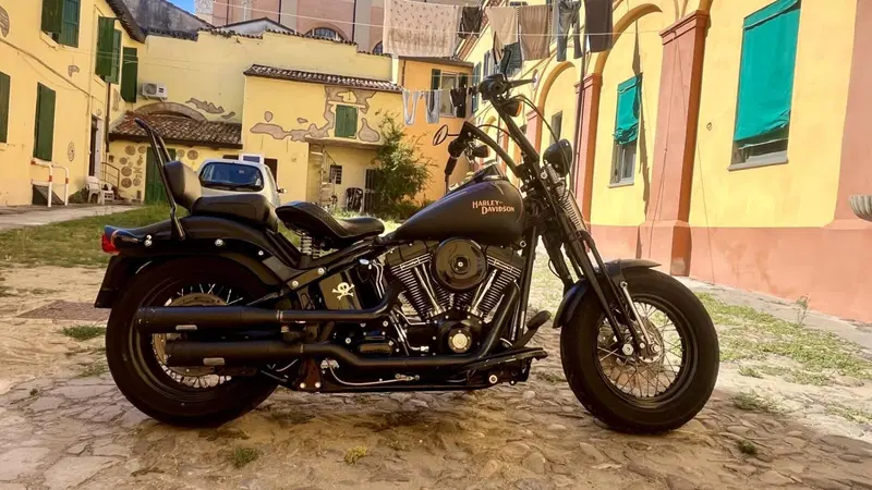 Harley-Davidson 1584 Cross Bones (2008 - 11) - FLSTSB (3)