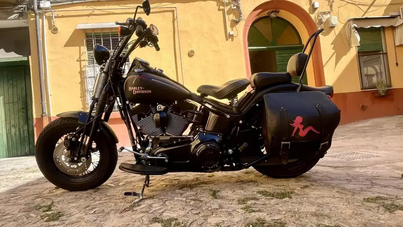 Harley-Davidson 1584 Cross Bones (2008 - 11) - FLSTSB (5)