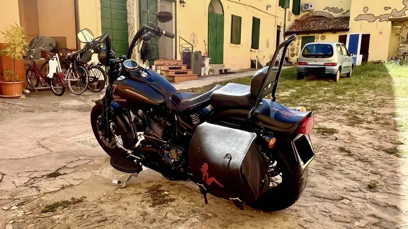 Harley-Davidson 1584 Cross Bones (2008 - 11) - FLSTSB (6)