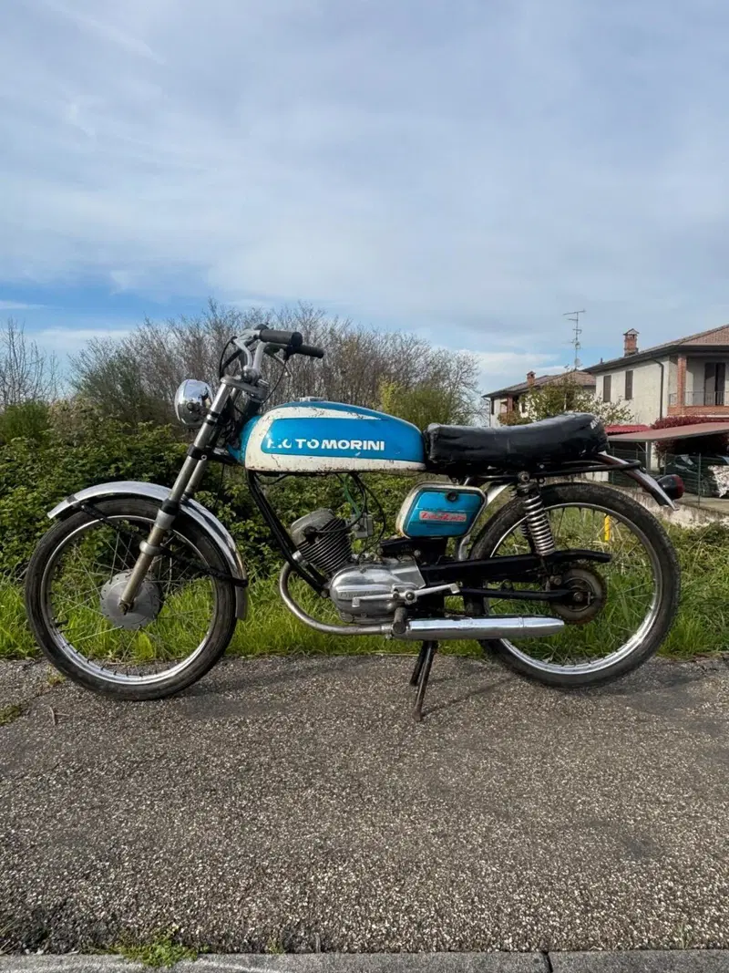 Morini Corsarino ZZ (2)