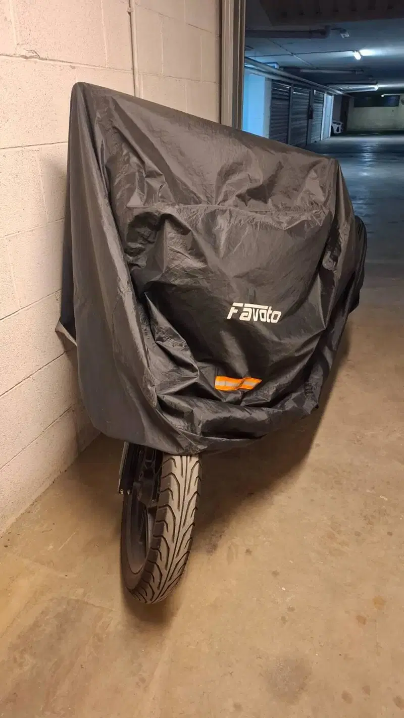 Moto Guzzi V7 Stone (2021 - 24) (20)