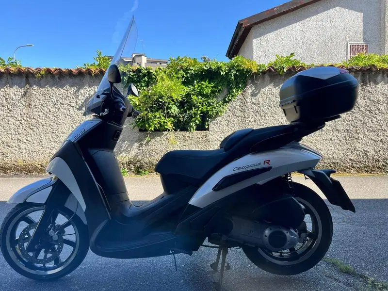 Peugeot Geopolis 300 R (2014 - 15) (3)
