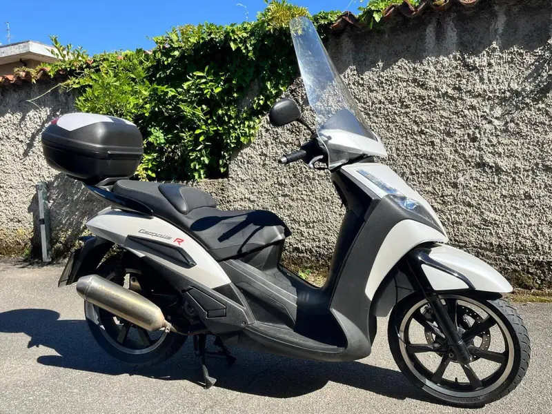 Peugeot Geopolis 300 R (2014 - 15) (6)