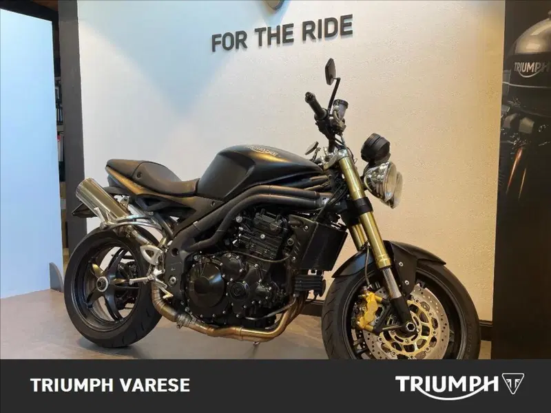 Triumph Speed Triple 1050 (2005 - 11) (2)