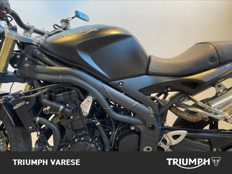 Triumph Speed Triple 1050 (2005 - 11) (5)