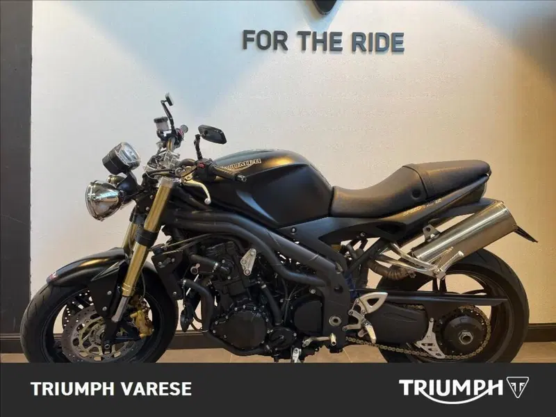 Triumph Speed Triple 1050 (2005 - 11) (3)