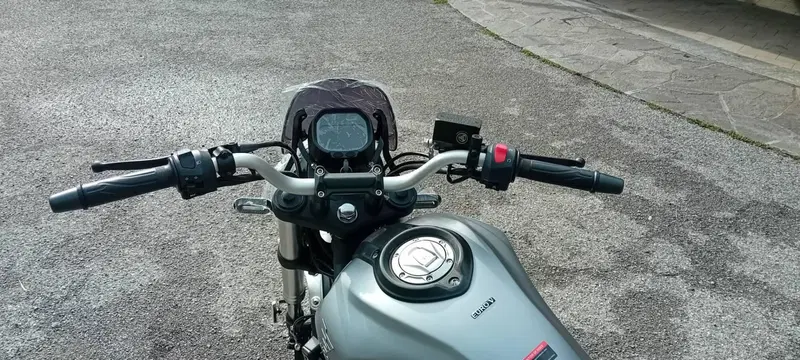 Voge Trofeo 300ACX Scrambler (2021 - 26) (4)