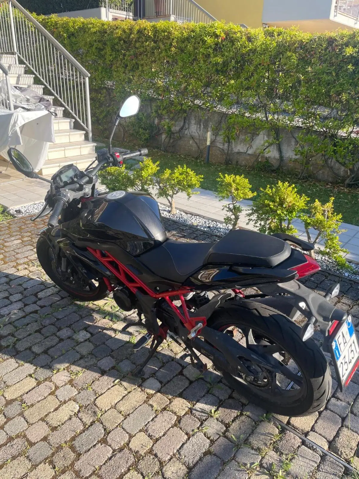 Benelli BN 125 (2021 - 25) (2)