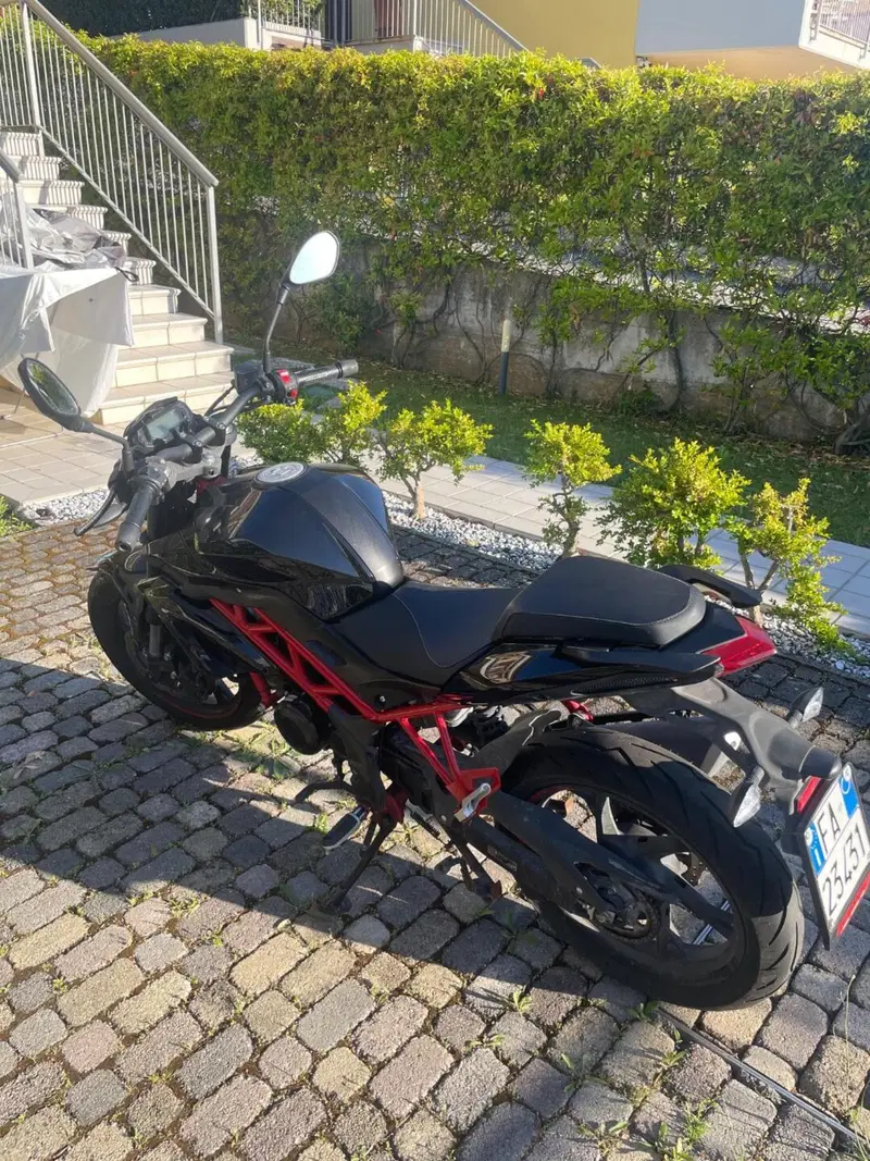 Benelli BN 125 (2021 - 25) (2)