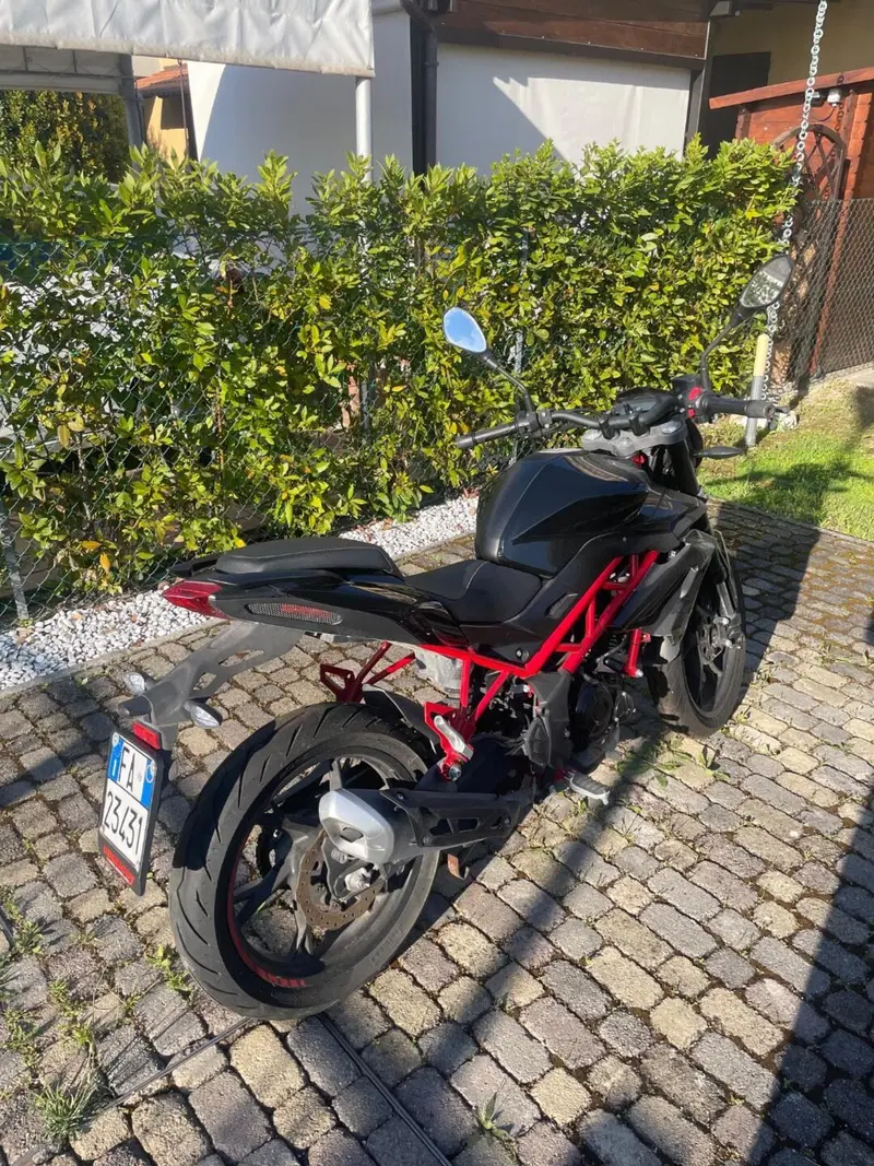 Benelli BN 125 (2021 - 25) (3)