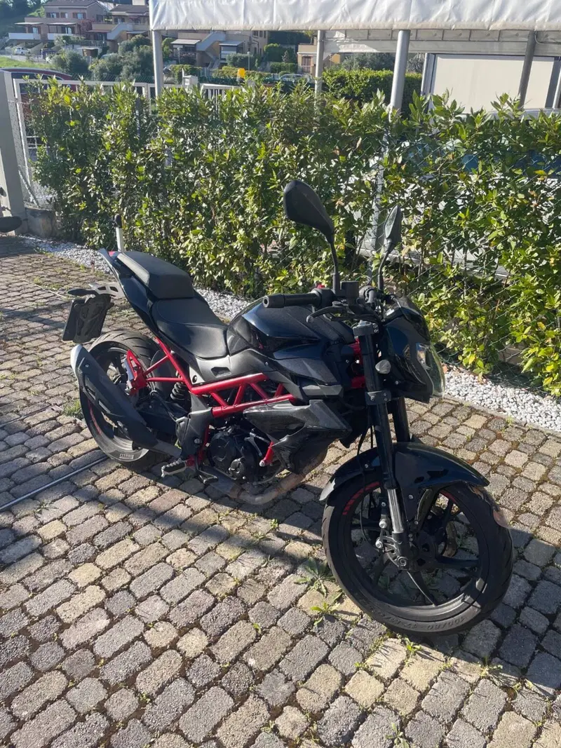Benelli BN 125 (2021 - 25) (4)