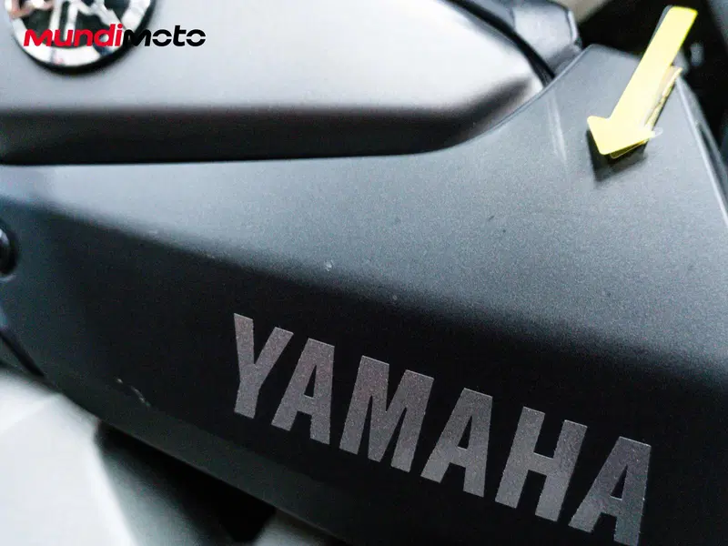 Yamaha MT-09 (2013 - 15) (14)