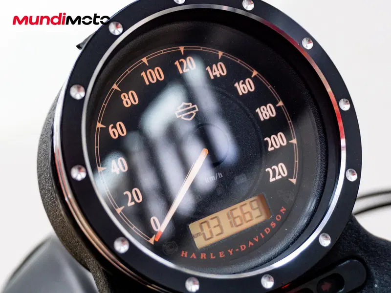 Harley-Davidson 883 Iron (2012 - 14) - XL 883N (12)