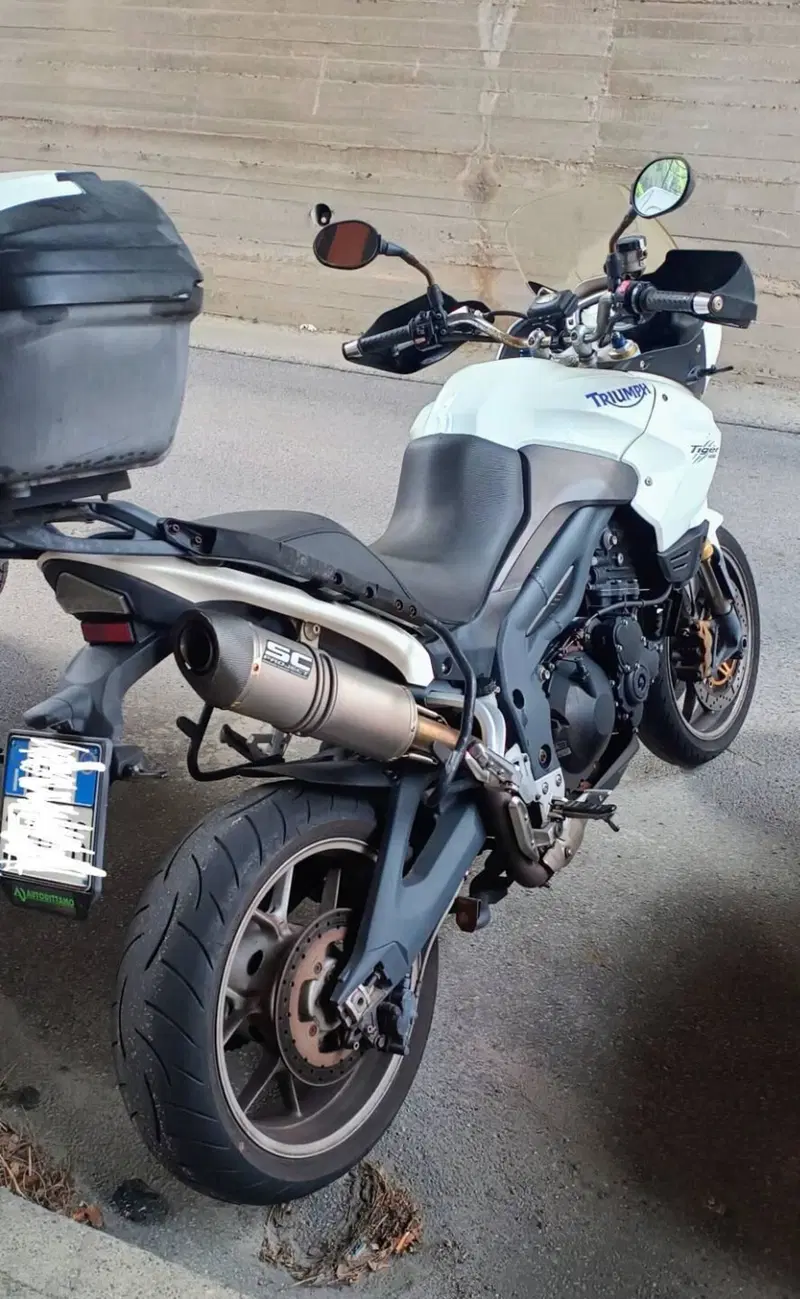 Triumph Tiger 1050 (2006 - 12) (3)
