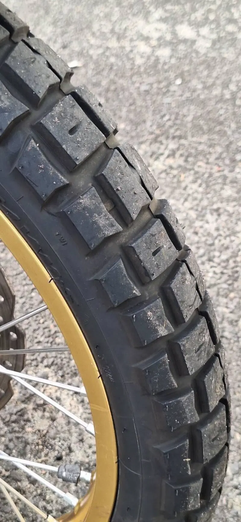 Honda Africa Twin CRF 1000L Adventure Sports (2018 - 19) (16)