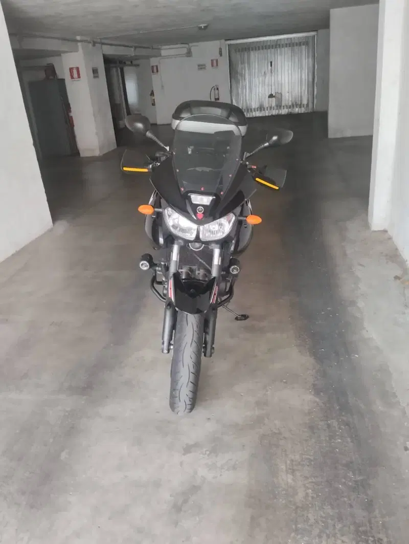 Yamaha TDM 900 (2002 - 14) (5)