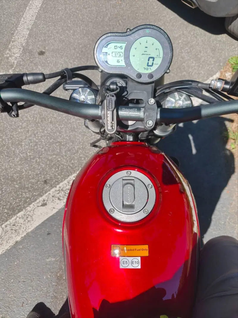 Benelli Leoncino 500 (2021 - 25) (6)