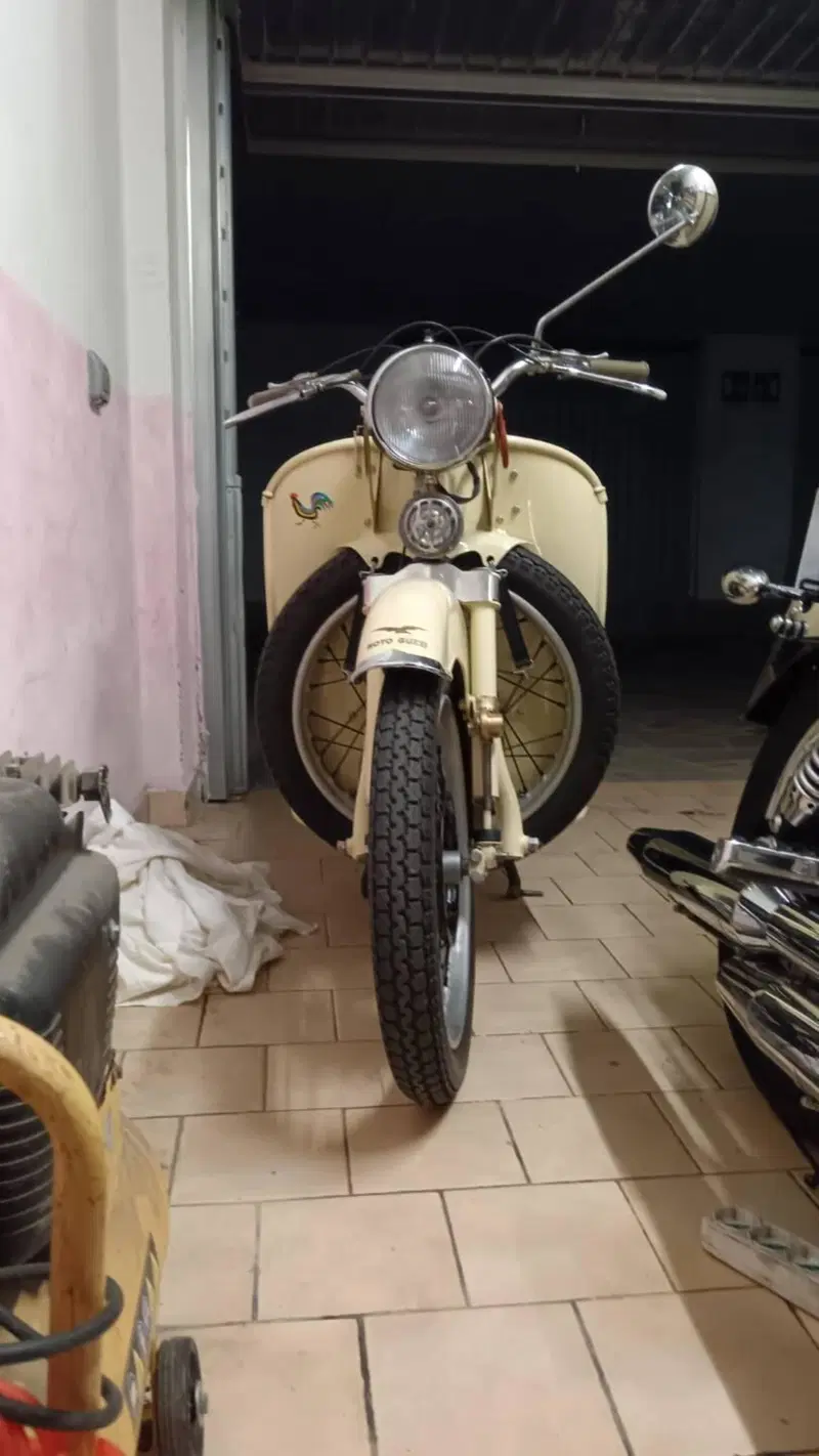 Moto Guzzi Galletto 192 AP (6)
