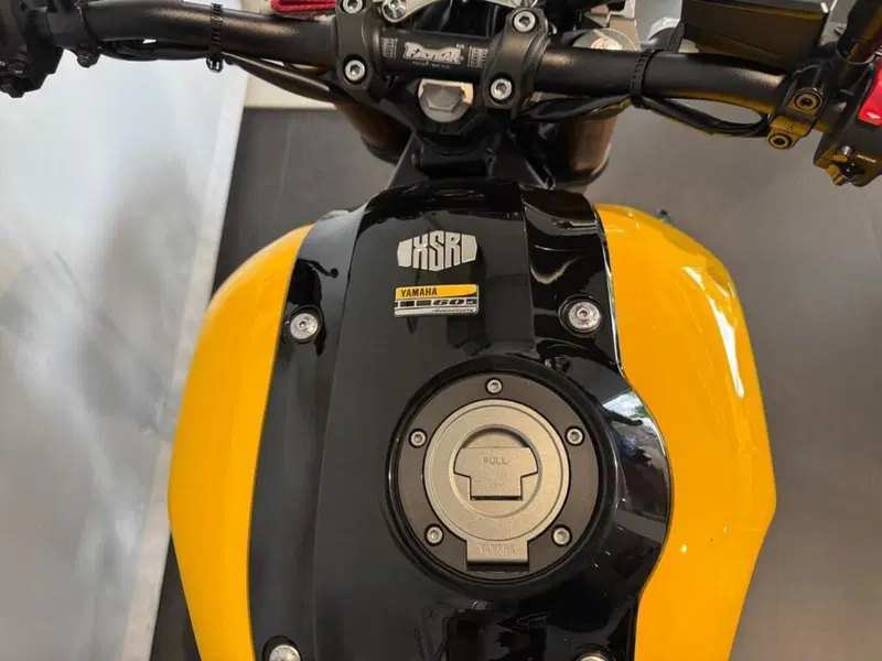 Yamaha XSR 900 ABS 60th Anniversary (2016 - 18) (5)