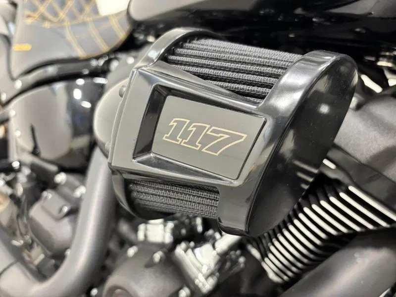 Harley-Davidson Low Rider S (2022 - 24) (4)