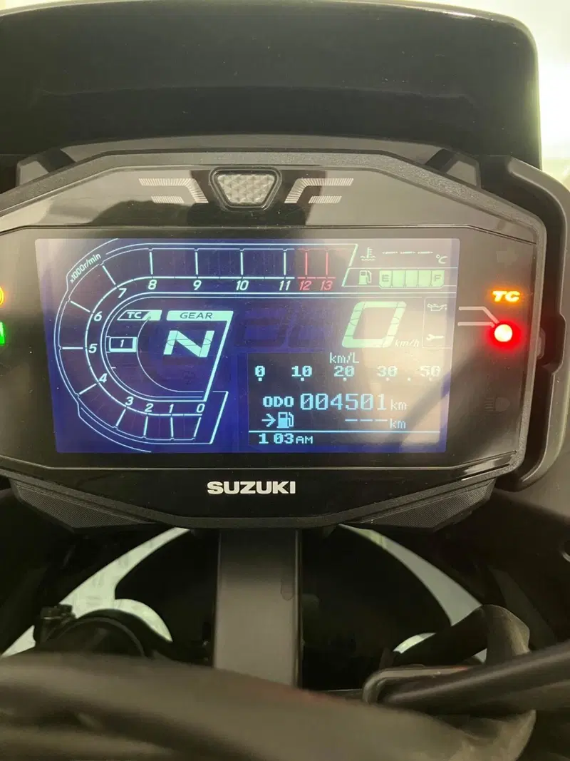 Suzuki Katana 1000 Jindachi (2019 - 20) (7)