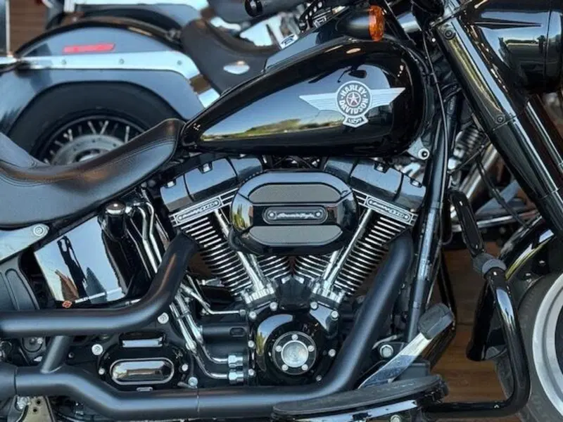 Harley-Davidson 1800 Fat Boy S (2015 - 17) - FLSTFS (3)