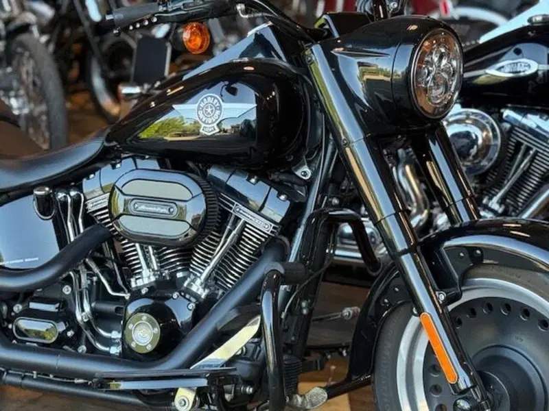Harley-Davidson 1800 Fat Boy S (2015 - 17) - FLSTFS (4)
