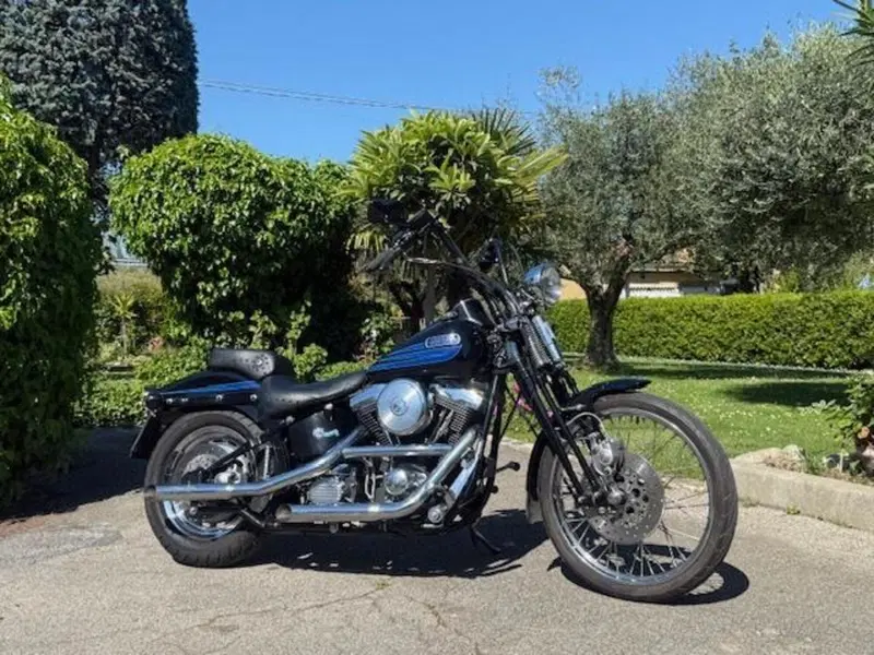 Harley-Davidson 1340 Bad Boy (1995 - 99) (6)