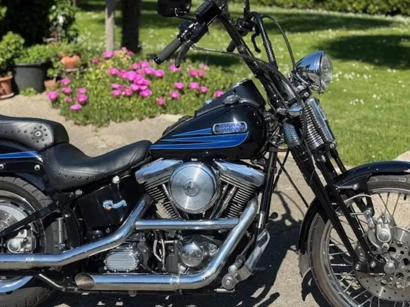 Harley-Davidson 1340 Bad Boy (1995 - 99) (2)