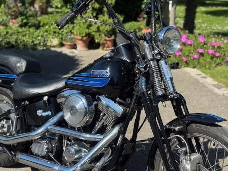 Harley-Davidson 1340 Bad Boy (1995 - 99) (4)