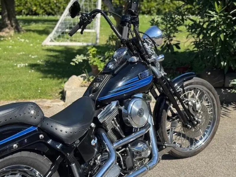 Harley-Davidson 1340 Bad Boy (1995 - 99) (5)