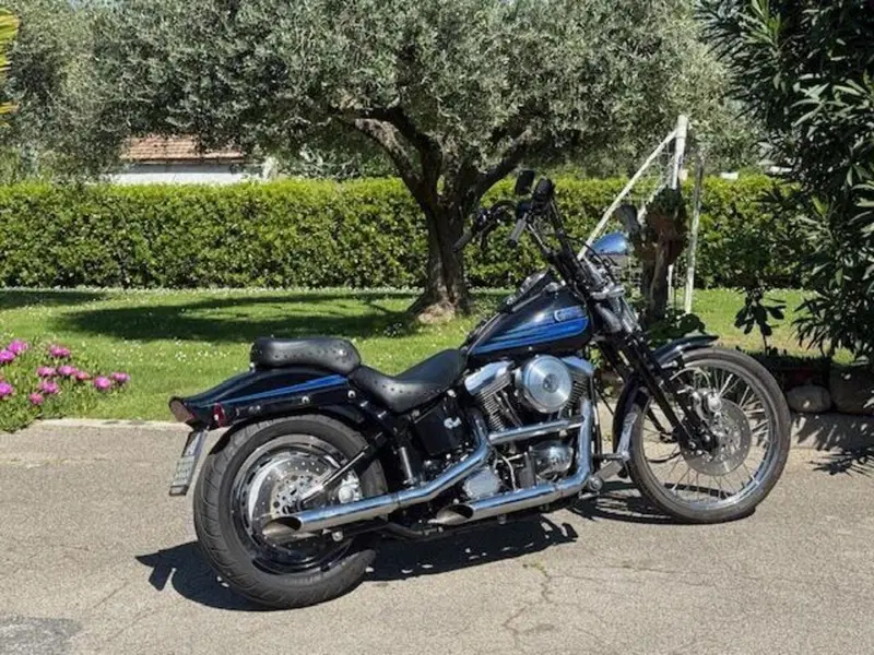 Harley-Davidson 1340 Bad Boy (1995 - 99) (8)