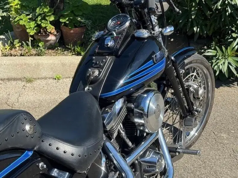 Harley-Davidson 1340 Bad Boy (1995 - 99) (9)
