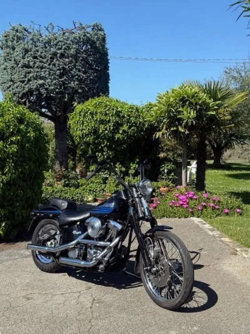 Harley-Davidson 1340 Bad Boy (1995 - 99) (12)
