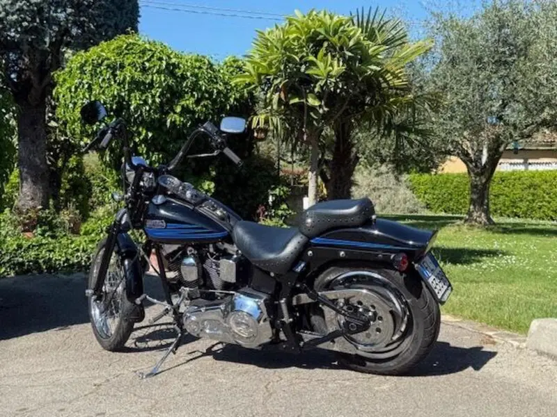 Harley-Davidson 1340 Bad Boy (1995 - 99) (13)