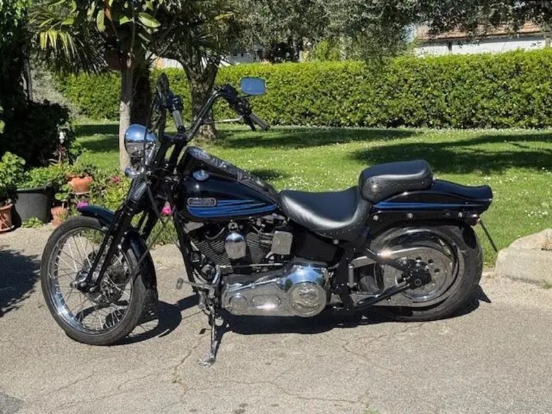 Harley-Davidson 1340 Bad Boy (1995 - 99) (14)