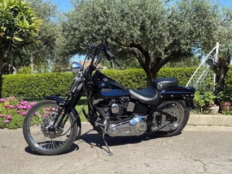 Harley-Davidson 1340 Bad Boy (1995 - 99) (15)