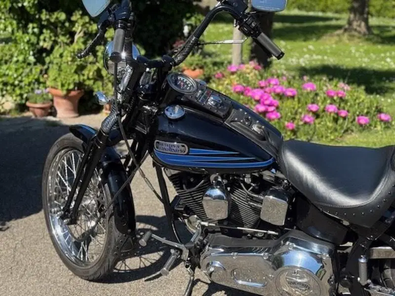 Harley-Davidson 1340 Bad Boy (1995 - 99) (16)