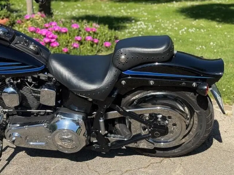 Harley-Davidson 1340 Bad Boy (1995 - 99) (17)
