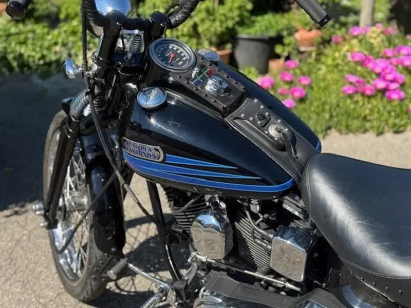 Harley-Davidson 1340 Bad Boy (1995 - 99) (18)