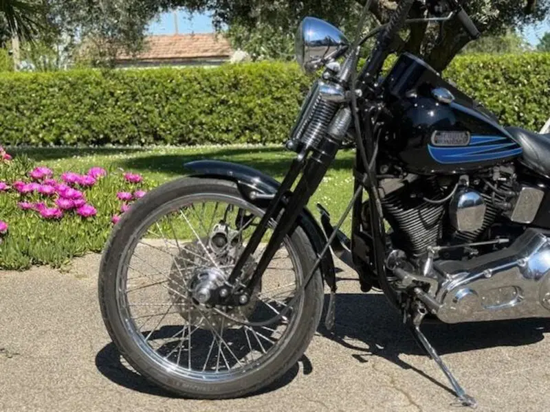 Harley-Davidson 1340 Bad Boy (1995 - 99) (19)