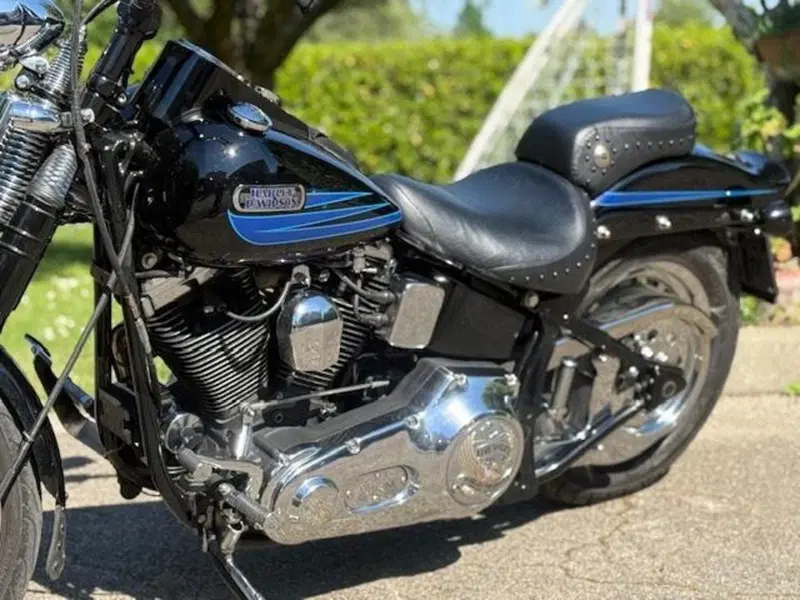 Harley-Davidson 1340 Bad Boy (1995 - 99) (20)