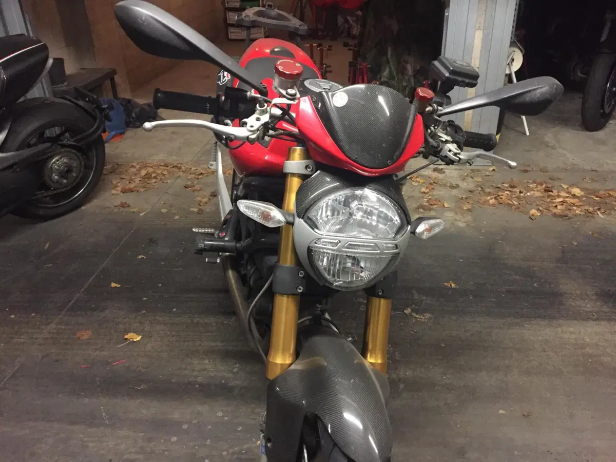 Ducati Monster 1100 S (2009-10) (2)