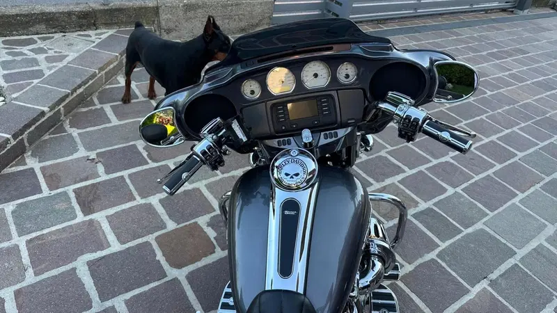 Harley-Davidson 1690 Street Glide Special (2014 - 16) - FLHX (8)