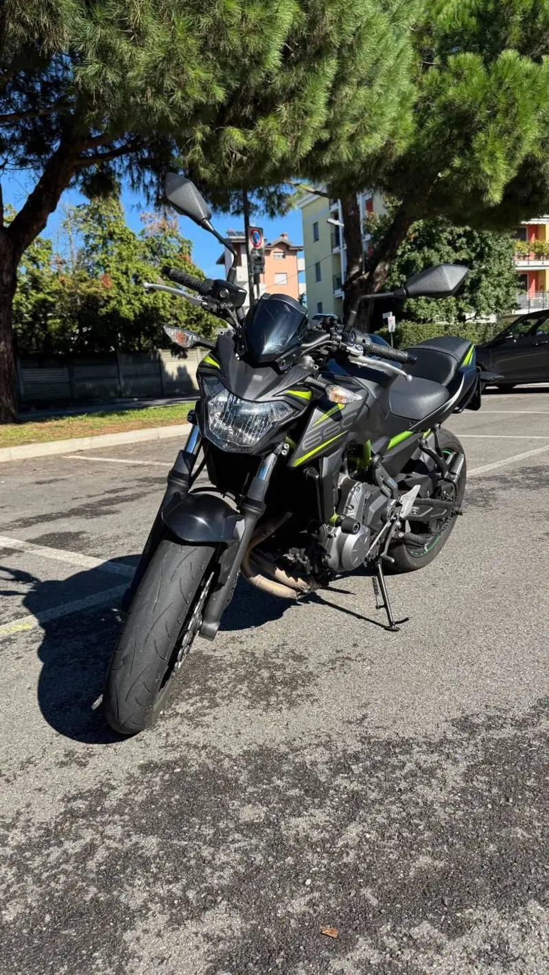 Kawasaki Z 650 (2017 - 19) (2)